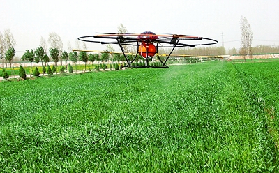 ȷɽ����ׯ�����ɷ�ũ������������˻���������С�һ�������������꣬���ض�10��Ķ�߱�׼���ｨ������ͳһ���Ρ�ͳһ���֣�ʵ�ָ�Ч����ȫ��ũ����ֲ����