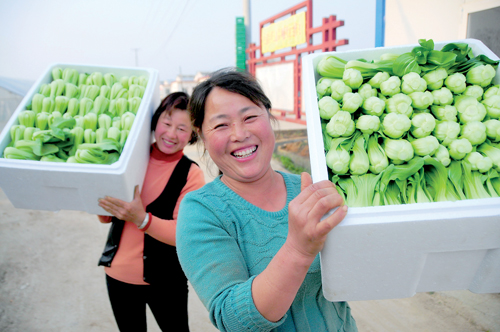 ���������أ��л��߲˷��չ�Ӧ����г�