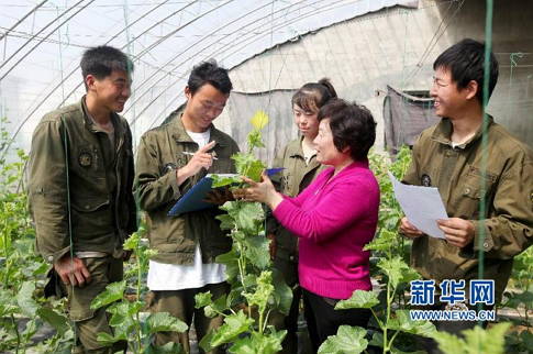 4ÔÂ14ÈÕ£¬Ôæ×¯ÊÐÊÐÖÐÇøÅ©Òµ¼¼ÊõÍÆ¹ãÖÐÐĸ߼¶Å©ÒÕʦ·ë´«ÈÙ£¨ÓÒ¶þ£©ÔÚÒ»¼ÒÊß²ËÖÖÖ²»ùµØ¶ÔÐÂÐÍְҵũÃñ½øÐм¼ÊõÅàѵ¡£