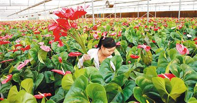 ���϶����У��Ƽ���ũ����ϡ����롱