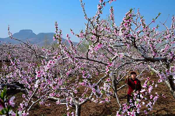 ɽ�����������ɻ���ɽ�¸�������ɽ��