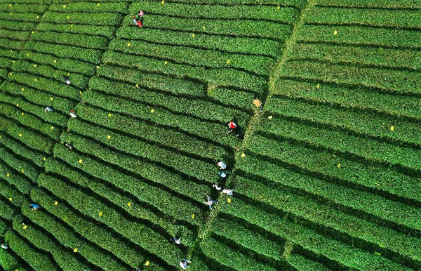 �������Ʈ����