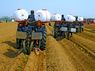 ����ۣ�أ�����ȷʵԽ��Խ������