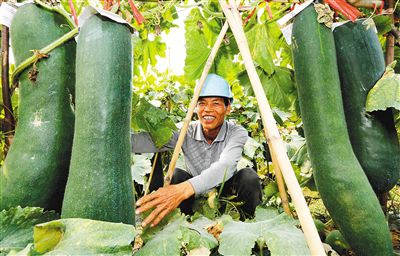 ���������У������ڼ� �����ϡ�����