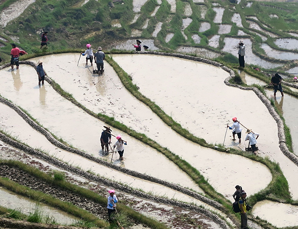 ������ʤ�ٰ����￪����