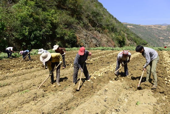 ��������ͭ�����1500Ķ�޹����������������