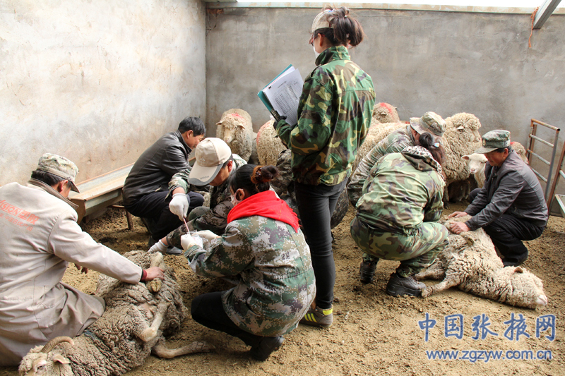 �������ϻʳ���ũ��վ�����߲��ղ鹤����չ˳��