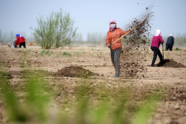 Ļˮֲũʩлʣ419㣩