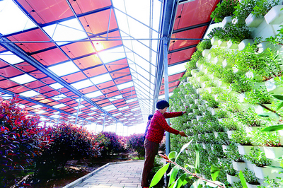 ũ⻥̬ũҵɽʡīг߹ģ