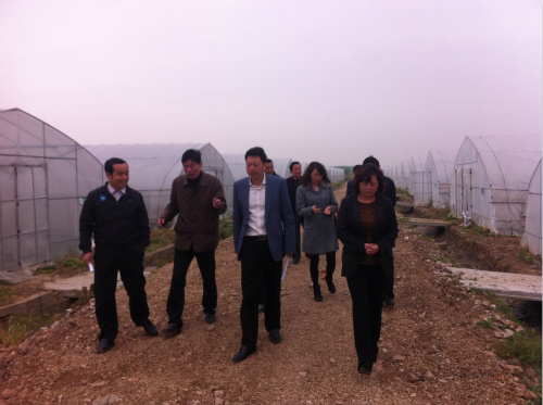 ר֧УΪִũҵ߲׼ײ