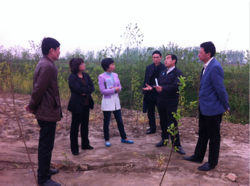 μӴ˴λ쵼кũҵ־ֳ񻪣Ϻ絳ίﻪũҵũʦȡ