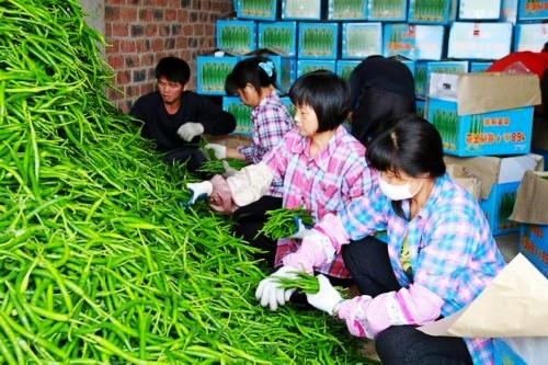 �������ݣ������������硱����ϲ�����