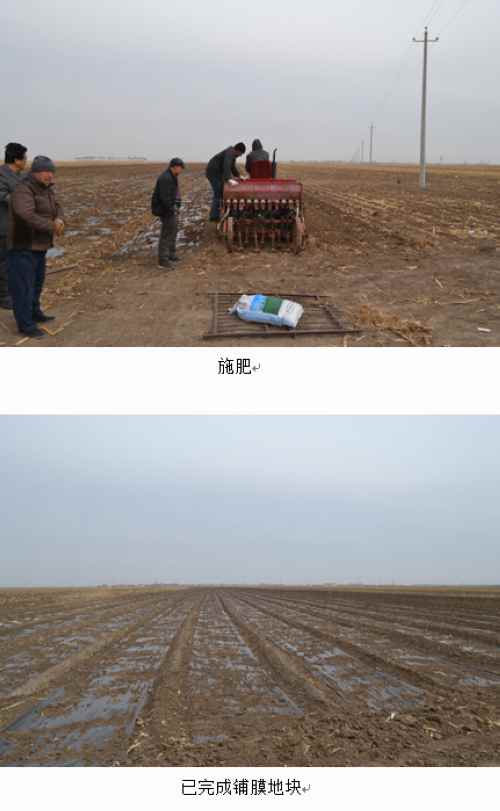 ɹͨɿ30ĶƷչʾĤعԲ