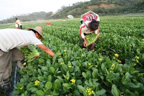 �ӱ��е��߲�����1.2��Ԫ