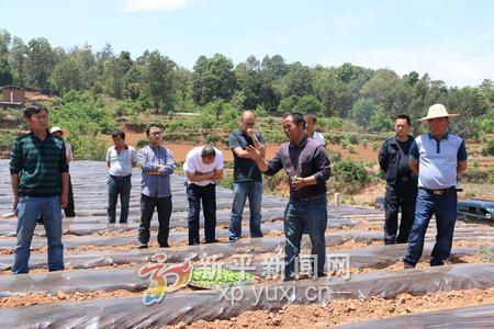 ������Ϫ����ƽ��ƽ������ץʱ���������