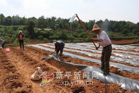 ��ũ���ڽ���Ĥ��С������