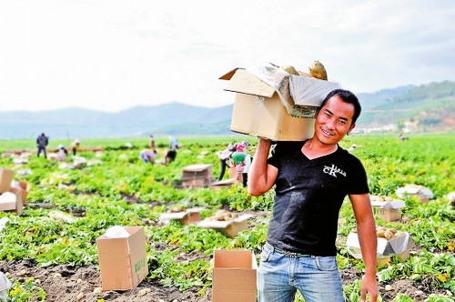 ����ʯ����������ϲ�����