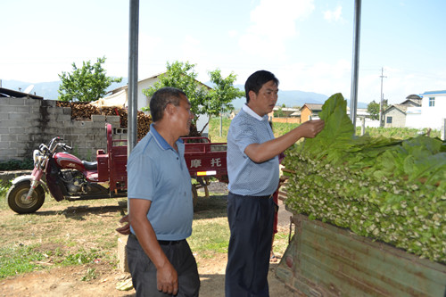 ����¤����ũҵ�����ֳ���������鿴�����������