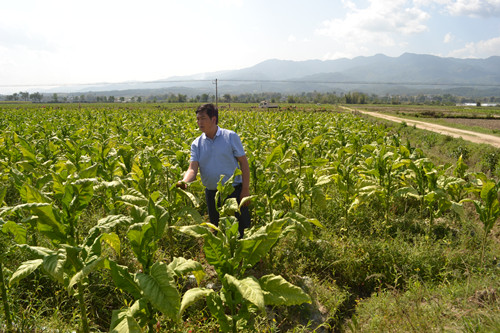 ����¤����ũҵ�����ֳ���������鿴�����������2