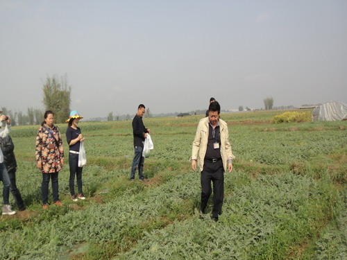 ����º����â��ũҵ�ֿ�չ2015�������ר�����ж�