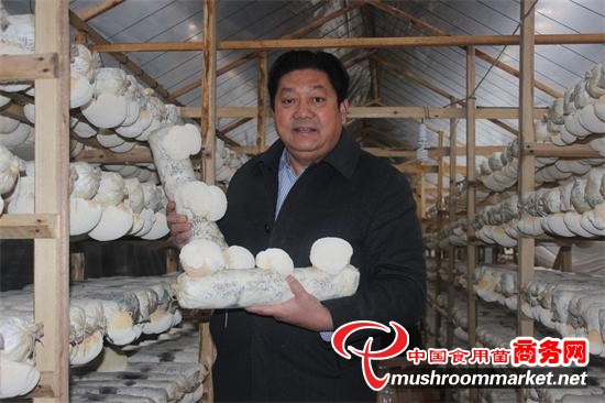 ���������غ�ͷ������ʢ����