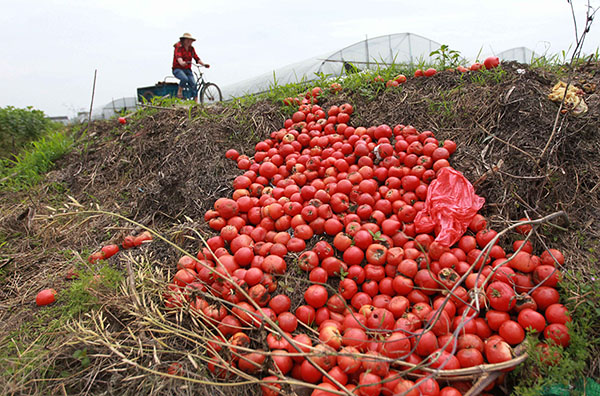 423գ㽭ʡ״ũѼۼѵ·ߡ