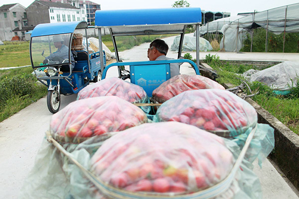 423գ㽭ʡ״壬ֲ˳Ըղժķѷѡ