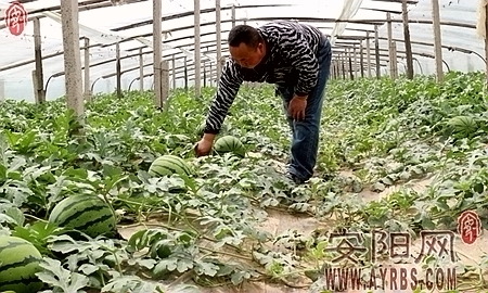 ���ϰ������������� ����ϲ��