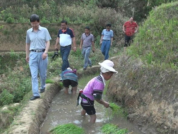 ����ʡ��ֲҵ���쵼������ص��д�����������