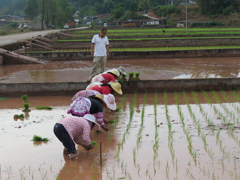 �����������´�����������ˮ��������Լ���ָ��