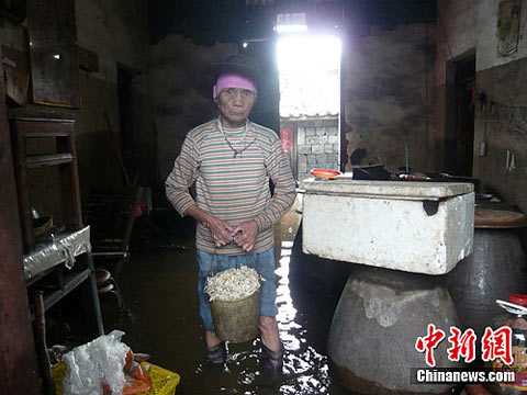 海口150村庄内涝 部分村民口粮被淹农作物绝收