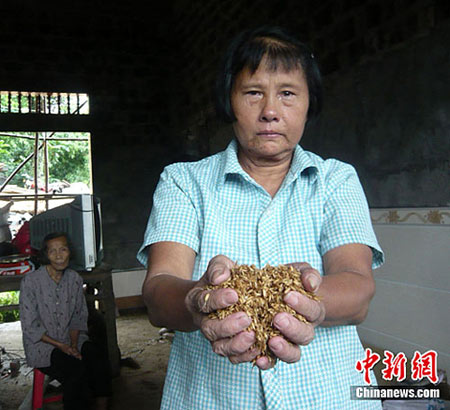 海南暴雨成灾 多地内涝农作物绝收