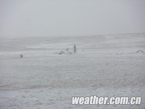 青海南部雨雪交加 交通畜牧业再受考验