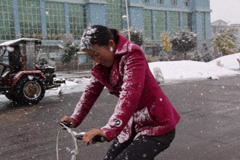 新疆昭苏地区迎来今冬首场大雪(组图)