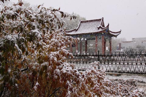 新疆昭苏地区迎来今冬首场大雪(组图)