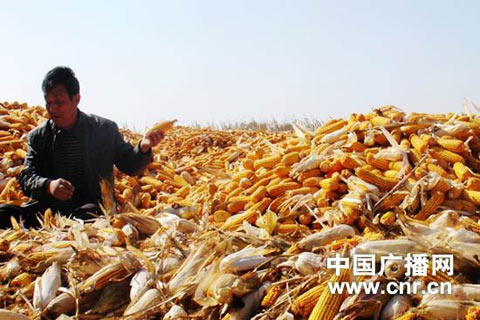 冷空气影响吉林 全省大部今夜迎降雨降温