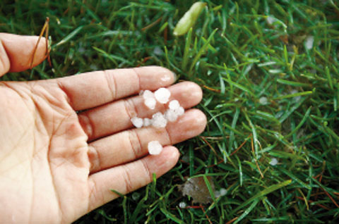 �������15��ͻϮ������