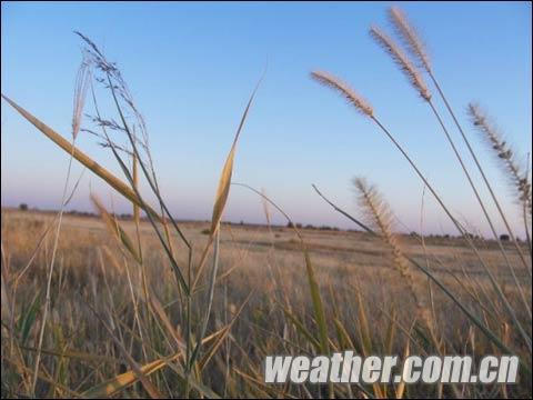内蒙古大部气温回升 本周末冷空气再来