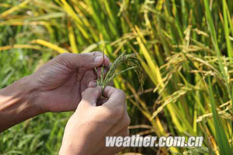 ����¶�硱���º���֢ ��������������������