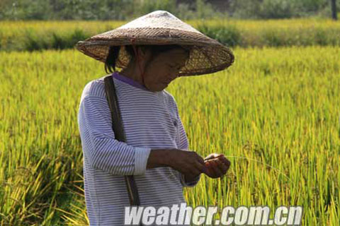 ����¶�硱���º���֢ ��������������������