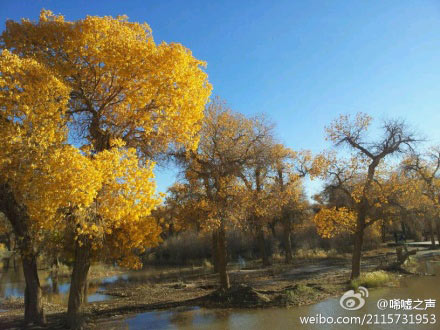 宁夏告别阴雨天气转晴 21日将迎大范围降温