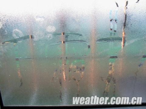 河北大风降温现霜冻