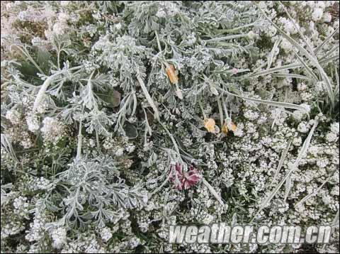 入冬后首场大雾天气弥漫内蒙古多地