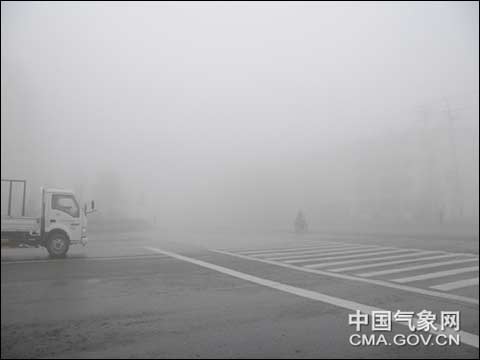 专家解析如何科学防御减轻雾的影响