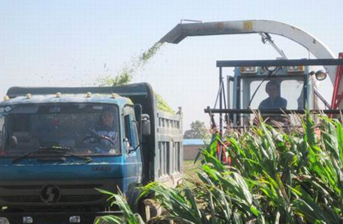 陕西未来一周持续阴雨 需加强作物田间管理