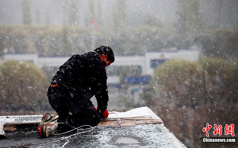 �½�����ӭǿ���½�ѩ���� ������������Ӧ��