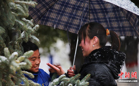 �½�����ӭǿ���½�ѩ���� ������������Ӧ��