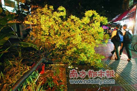 �㶫���꽫ֹ����δ����ɫ �����׶�Ϻ��ֳע�����