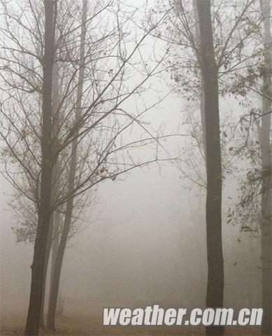 ������ҹ�������� ��������ŨŨ