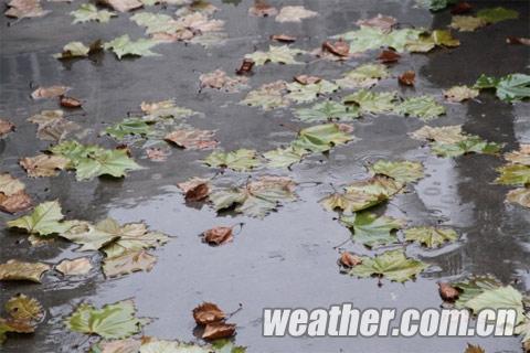 �ӱ���ѩ�������ס� ���ϲ��붬���̼���